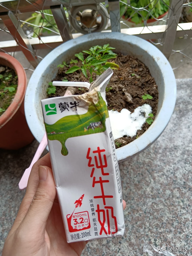 别说我抠！这些东西“过期也不必扔”，换个方使用，一点都不浪费