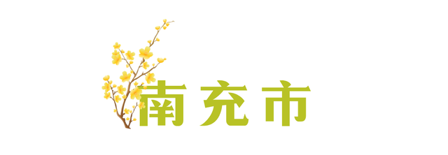 寒风再烈、冬日再冷，蜡梅照样艳压全场！