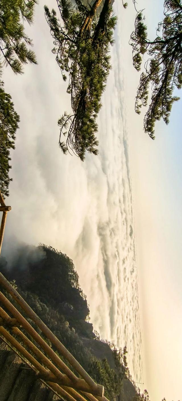 谁懂啊！今日明月山的云海简直在掌心流动！