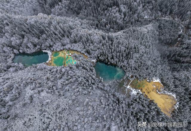 九寨沟神仙池：喜迎金秋第一场瑞雪