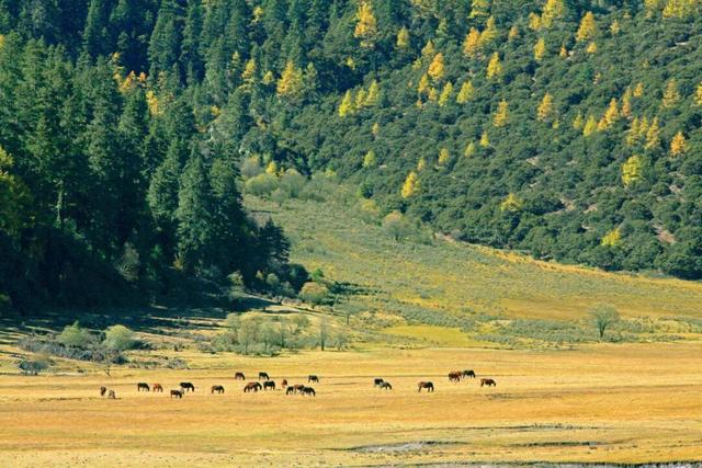 九九重阳，人往高处走