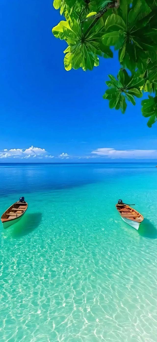 手机壁纸|海边的自然风景