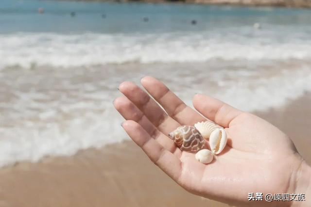 2026年1月3日至2月28日，花鸟岛不收取景区门票啦！