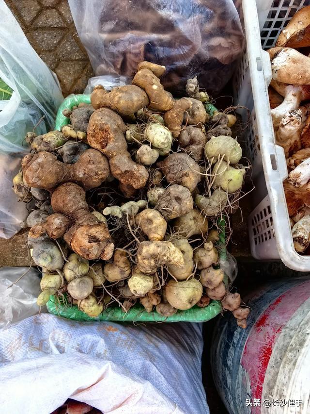 柴米油盐调味诗与远方，抚仙湖那一抹红