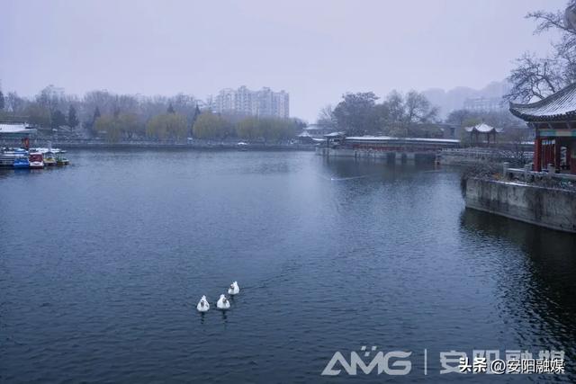 太行雪霁 美不胜收丨视觉安阳第34期