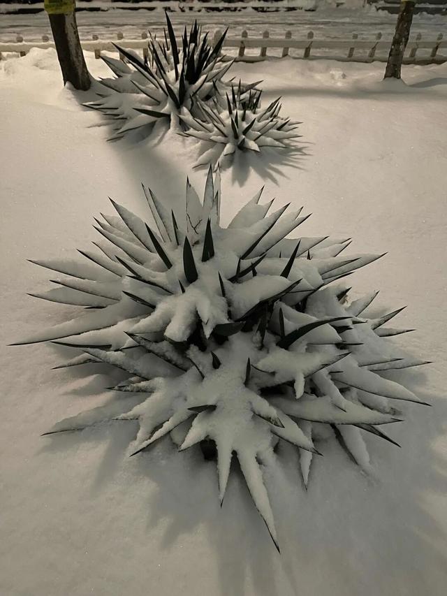 秒变仙境！独属长治的雪景大片来了，每一帧都是壁纸→