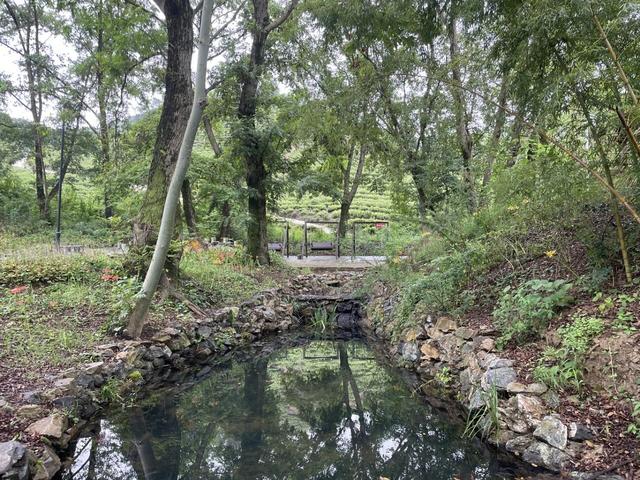 骑游滁州西神山寺森林公园花山风景线