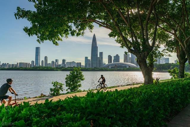 深圳最值得去的6个公园推荐！全部免费，地铁直达，好玩又好拍！