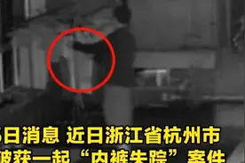 离谱！小院内连丢15条男士三角内裤，男子居然有这种癖好？图片