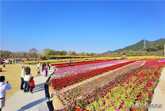 佛山两个网红景点国庆假期开放，百花与蓝湖相辉映火爆旅游市场