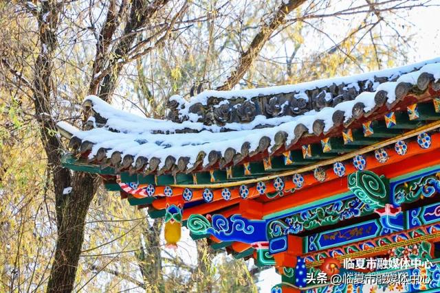 冬天就要有冬天的样子，不去一次临夏怎么知道冬天的美？