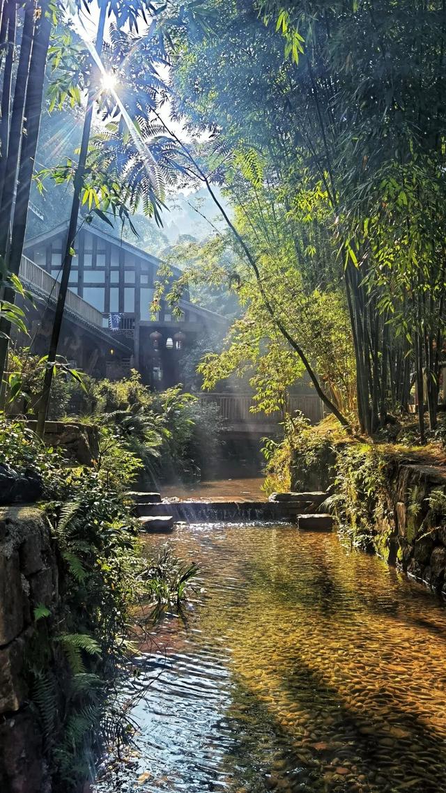 想去宜宾，春夏秋冬都想去~