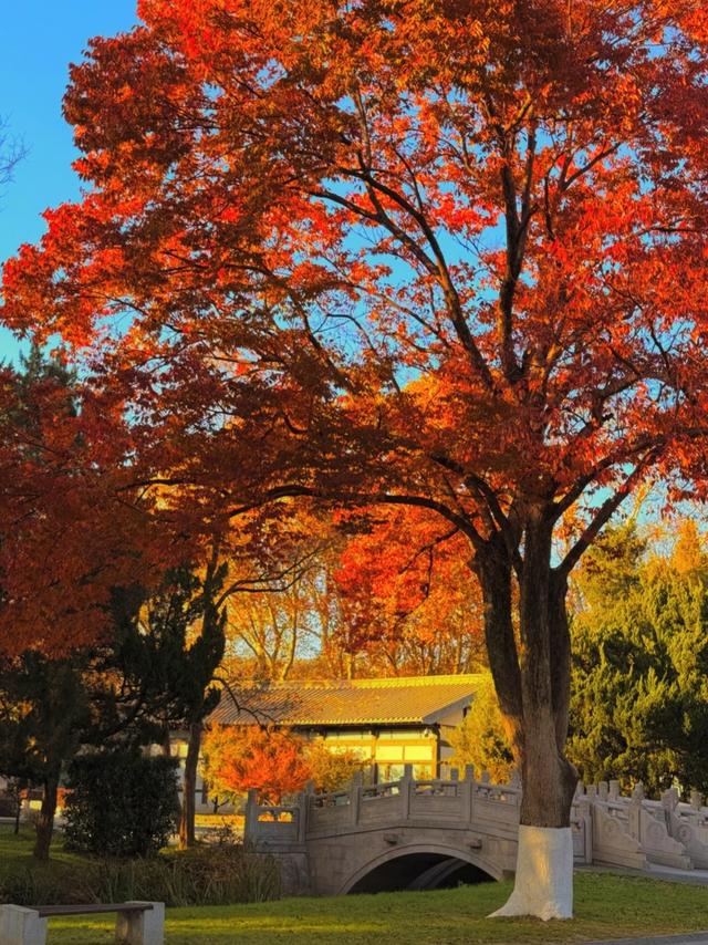 江苏7个AAAAA级景区大合集，去过3个算合格，你都去过几个？