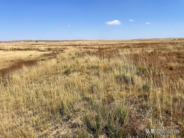 2025年国庆包头市达茂联合旗境内访古记