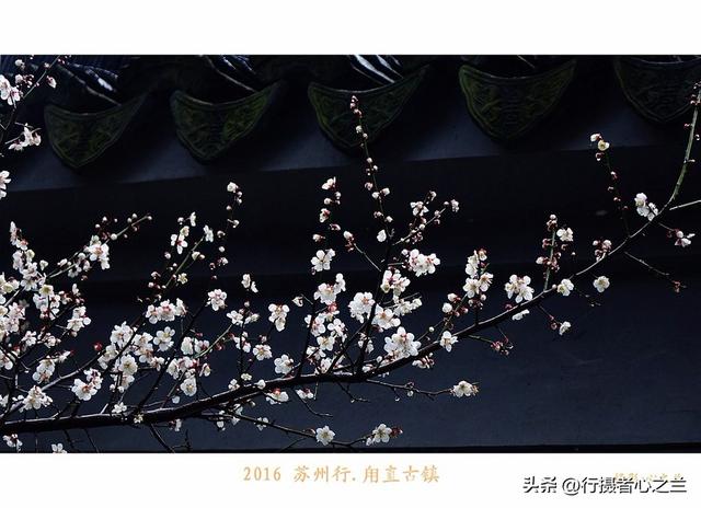 江南古镇行游影记（31）—甪直古镇（六）