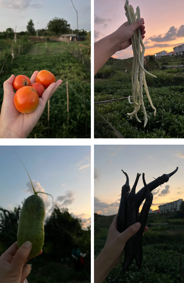 武汉夏天 | 黄陂3日游 · 回到童年