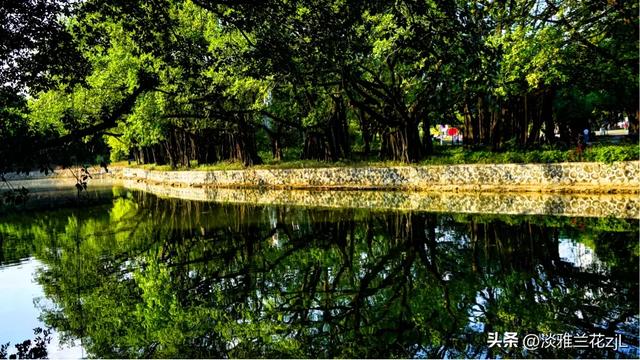 静美的流花湖