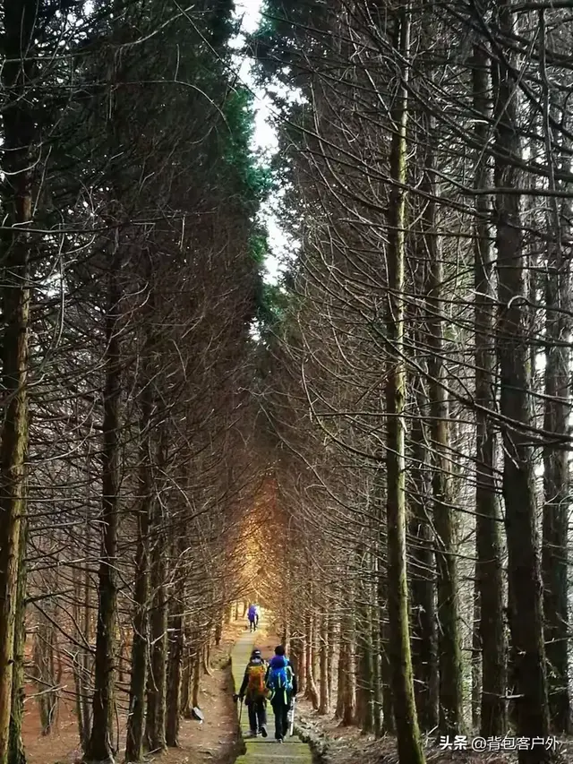 🌄徒步天花板｜“华东第一虐”千八精华段！美到缺氧封神了！！