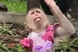 离谱！不小心把草稿纸带出了考场，雅思成绩居然直接被取消了...图片