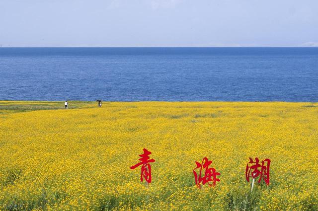 8月出行必去的6个避暑胜地，凉爽又好玩，游客几乎零差评，快收好