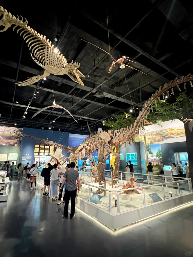 不愧是北京！13个冬季citywalkwalk好去处请收藏，都是免费的！