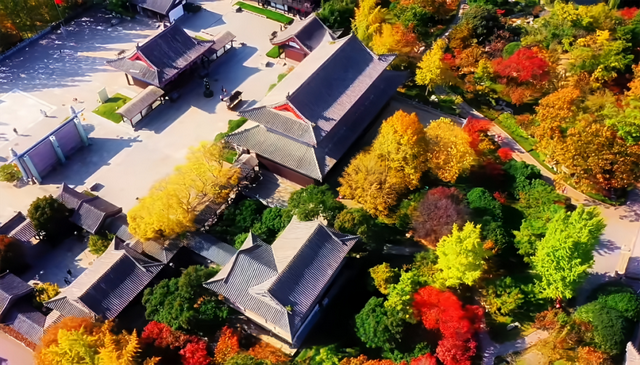 临沂冬日好去处！这8个室内宝地，颜值与温度并存！