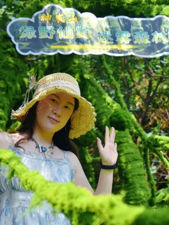 神农山景区「绿野仙踪」全新上线！许你一个清凉又出片的盛夏！
