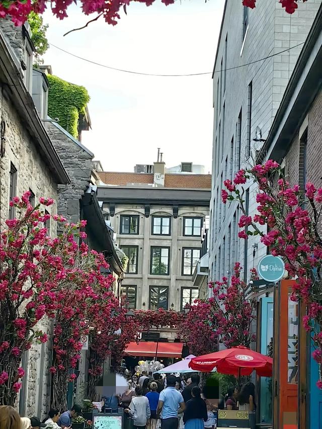 加拿大——我的境外旅游第七站（续一，千岛湖、蒙特利尔）