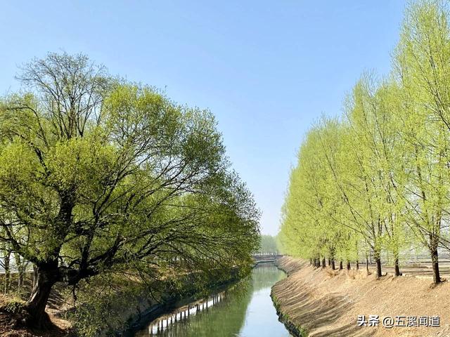 我们生活在昭通，了解昭鲁河治河历史吗？