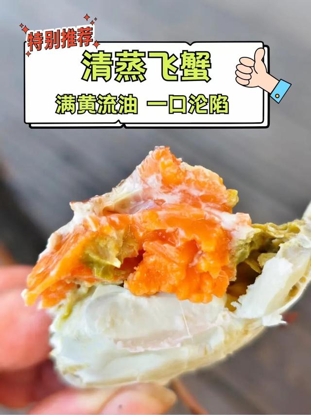 🎵汽水音乐节登陆大连金石滩！超全出行+住宿+玩乐+美食攻略来了！