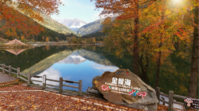 中国彩林第一县！黑水的美镜头不足以描绘！