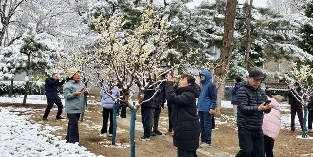 看！这是昌平雪后的美景——
