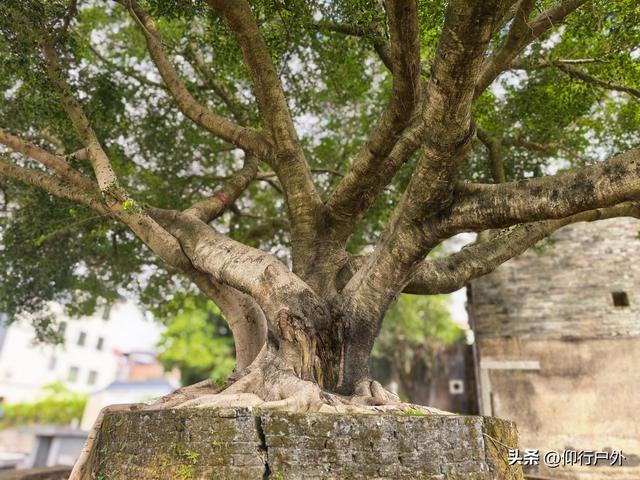 河源南园古村 天平古街 喷泉一天游
