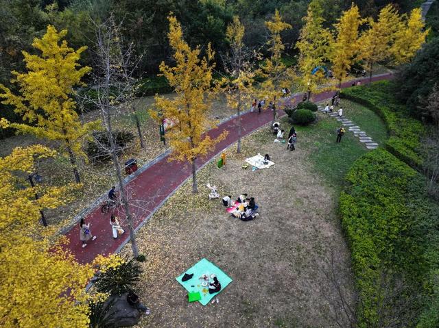 周末，和桐梓来场约会~