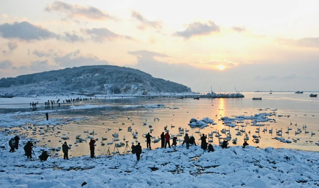畅游威海·首站荣成 | 全省推广！快启程，住进世界级渔村的童话海草房