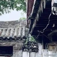 山西省寿阳县：山河与人文交织的晋中秘境（二）