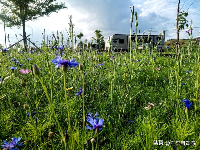 车轮上的家：房车自驾旅行生活全指南