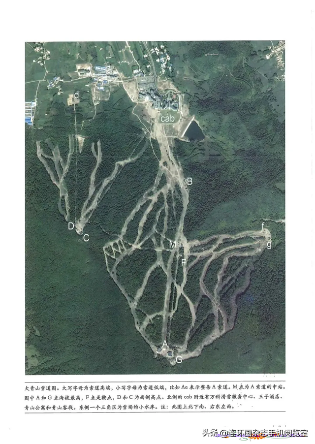 《青山草木》页选03