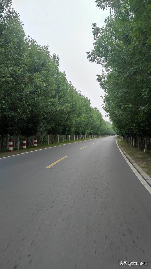 8月6日下午，开封新区水稻乡南北堤村附近大雨滂沱