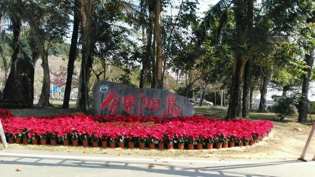 带着孙女去旅行（151）陵水分界洲岛游
