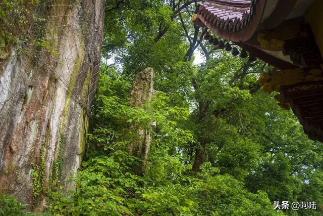 临崖而建的萧山福庆寺,来历有点神秘却香火旺盛,当地影响力甚广