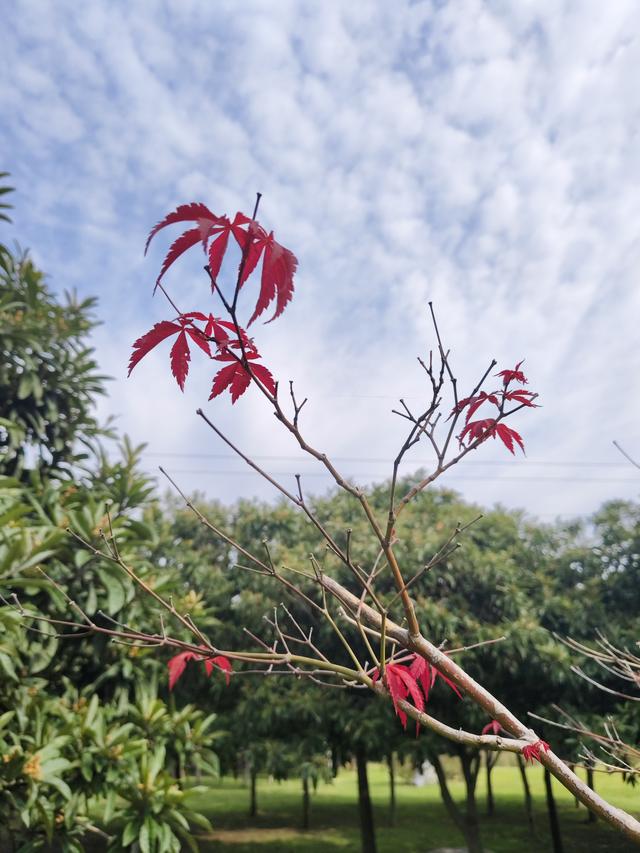 徒步穿越西流湖，赏秋正当时
