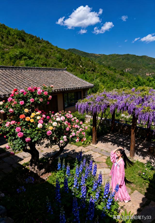 古风少女立花海，衣袂与繁花共舞，相映成趣似仙境！