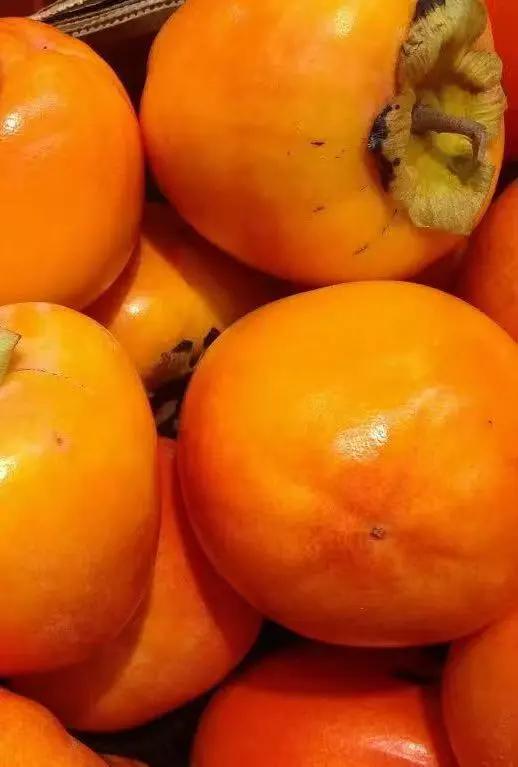 运城周末遛娃天花板！亲子采摘甜翻时光～