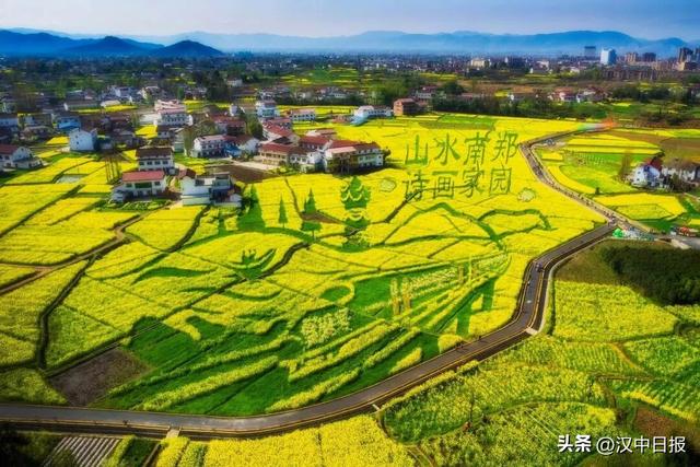 来汉中赴金色之约！这份观花攻略请收好→