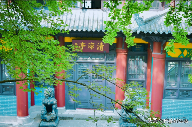 北碚公园竟是"大熊猫"命名地，原来藏着这么多秘密