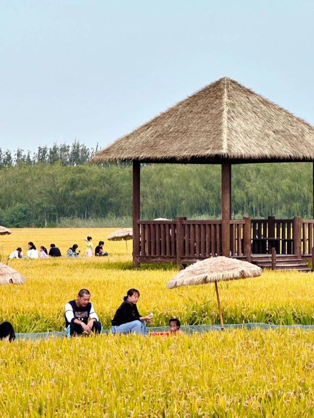 国庆假日第二天，西青文旅多元活动点燃假日激情！