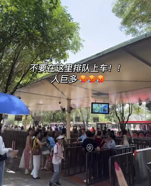 橘子洲景区真的值得去吗？游客花了40块坐小火车，结果走断腿