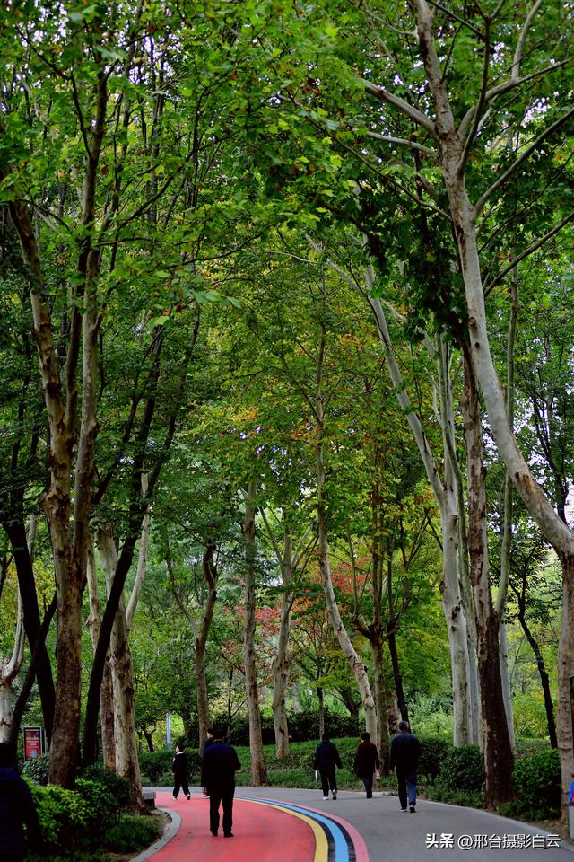 达活泉，这才是秋天该有的样子（图）