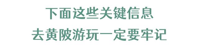 国庆畅游来黄陂 森林防火护青山